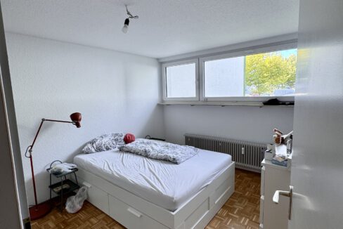 D55C954B-C294-47D4-AB9E-C7C0B2F01442_1_201_a