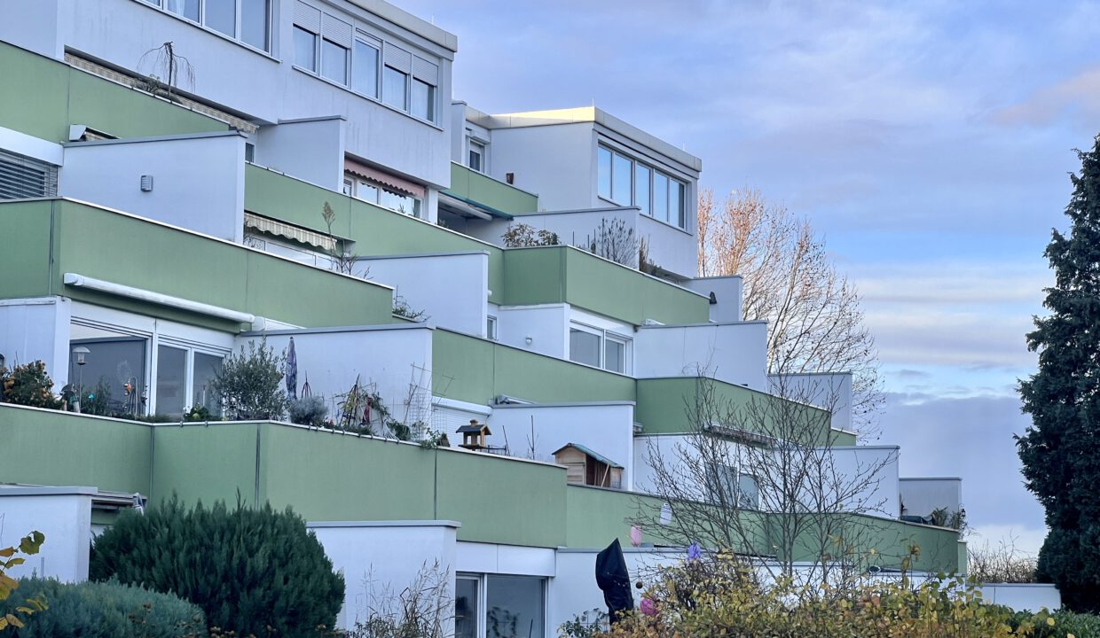 D81D8DD0-063F-4581-AA60-49185EDC3835_1_201_a